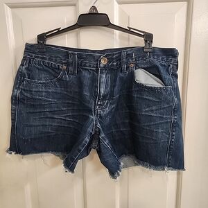 Madewell Denim Shorts W/distressed Hem Size 29